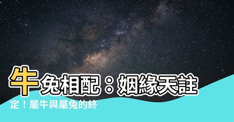 牛與兔|屬牛與屬兔相配好不好 兔和牛的屬相在一起合不合